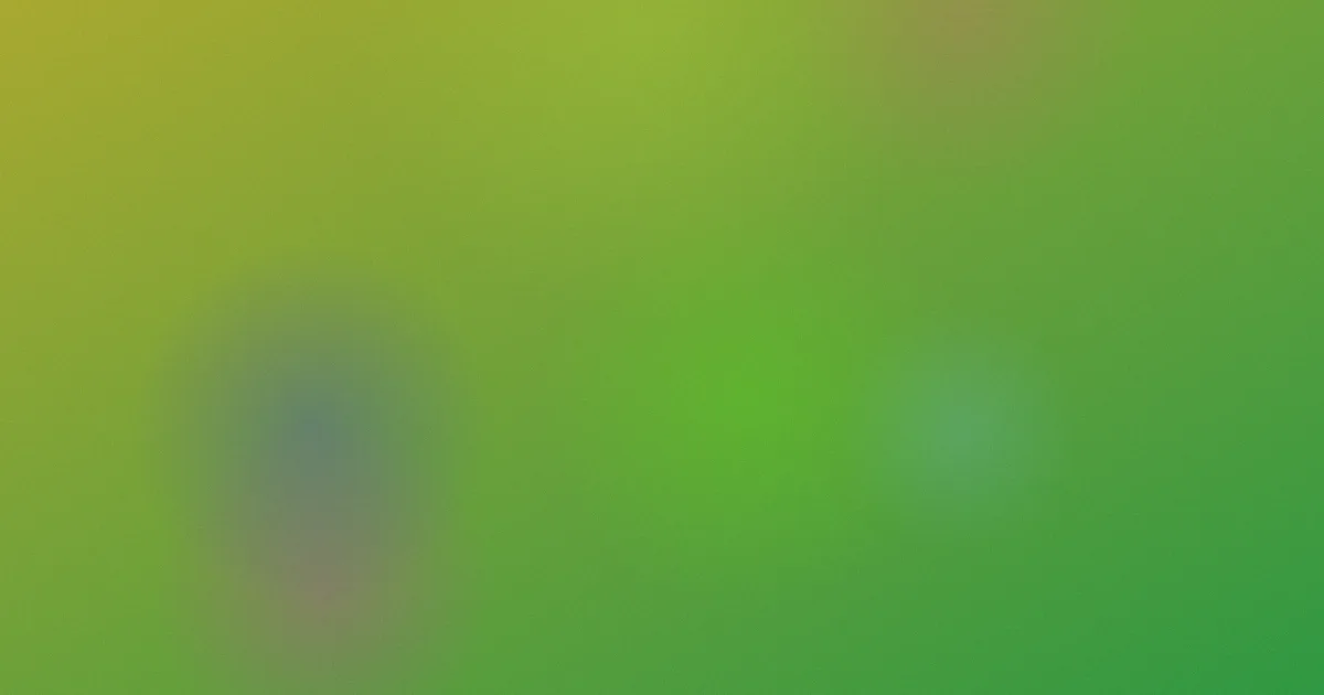 日韩女优在线视频推荐新手标准